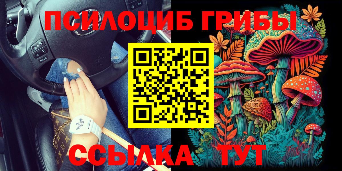 Чернушка  Галлюциногенные грибы мицелий  Вход с VPN 